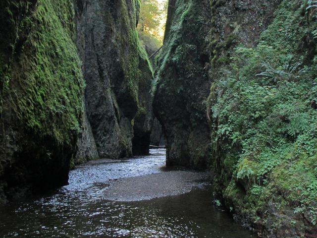 Oneonta Gorge